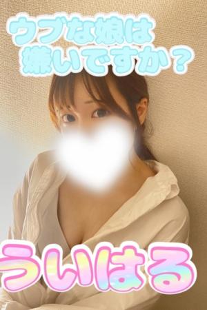 初春のプロフィール写真